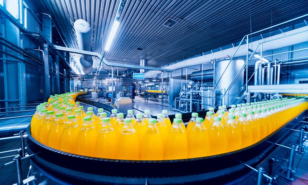 Commercial food processing and export batch operations